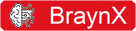braynx.biz